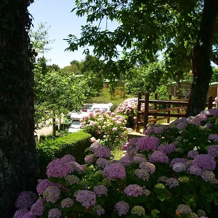 Campsite Wecamp San Sebastian