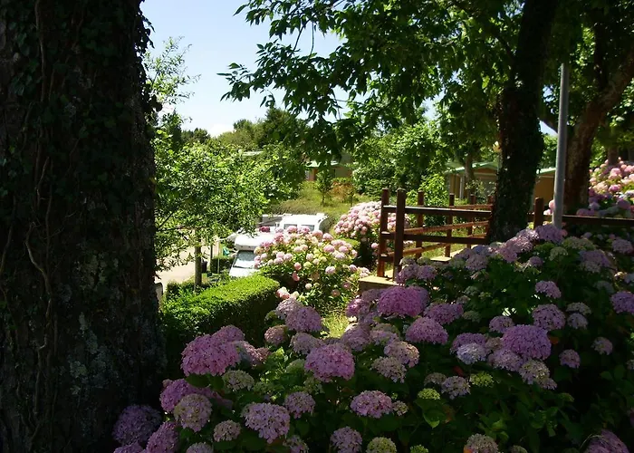 Camping Wecamp San Sebastian